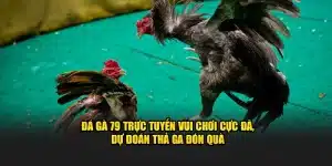 Đá gà 79 trực tuyến